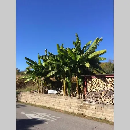 Gehobene Studentenwohnung Apartment *